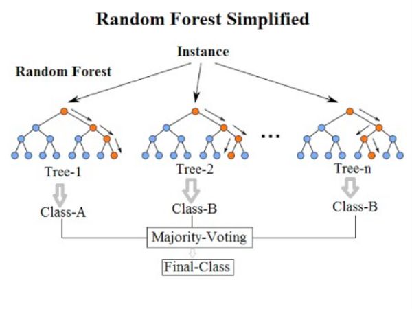 xgboost vs random forest