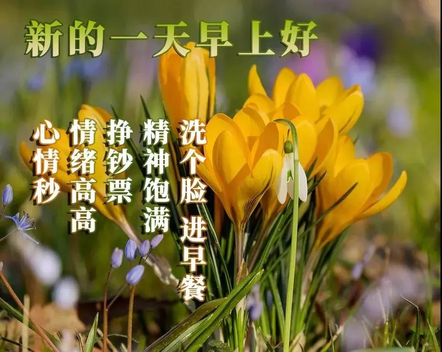 4月9日周二群发早上好问候祝福动态表情图片 最美早晨