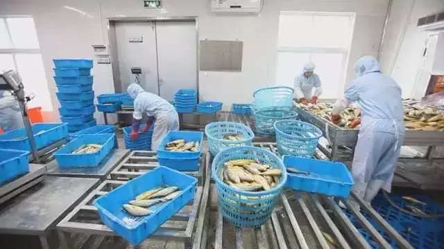 鱼籽冻了怎么吃
