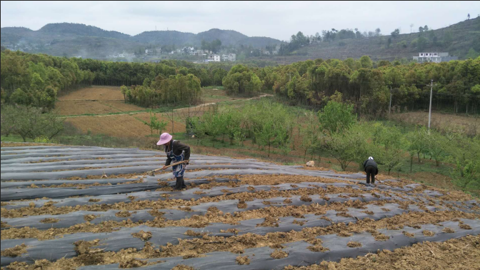 黔西县各乡镇gdp_黔西县10个乡镇应急救援分队暨政府专职消防队正式组建成立(2)