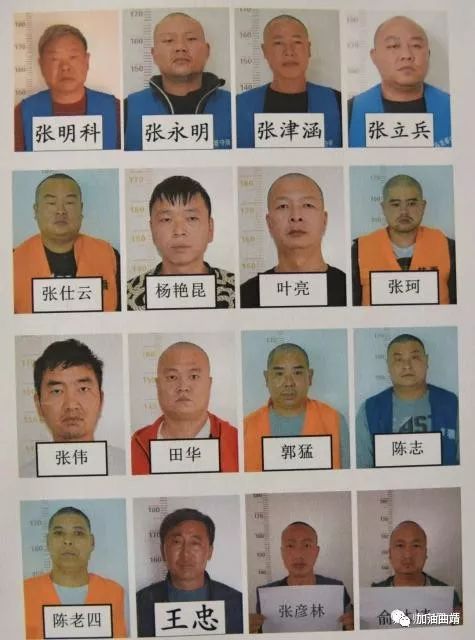 师宗打掉一涉黑涉恶团伙16人被抓