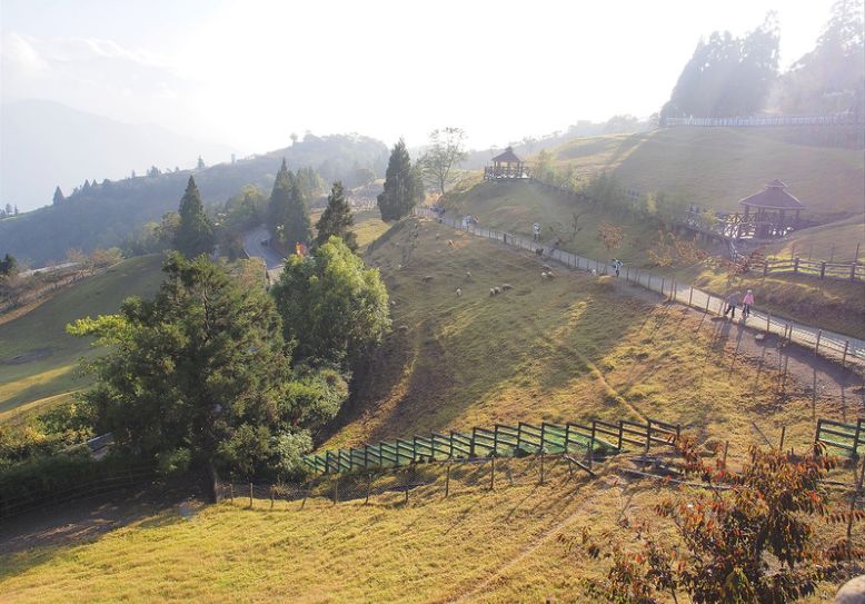 旅游 台湾 南投 清境农场青青草原绵羊秀壮丽的合欢山景色 Pm