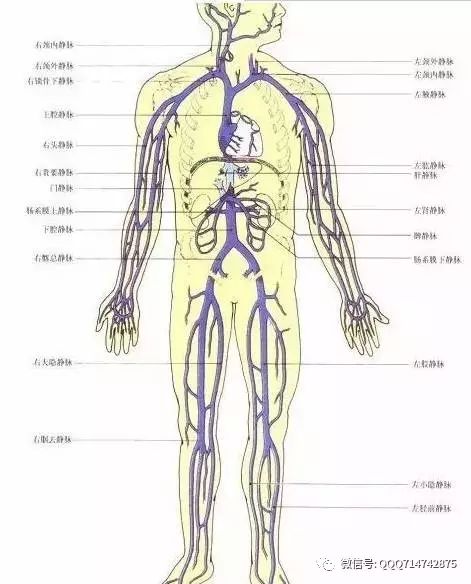 筋抻到了怎么办