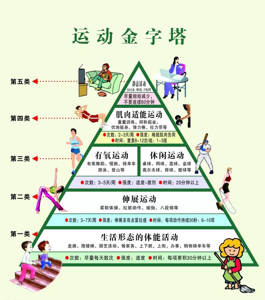 日本的人口金字塔演化分析_食物金字塔(3)