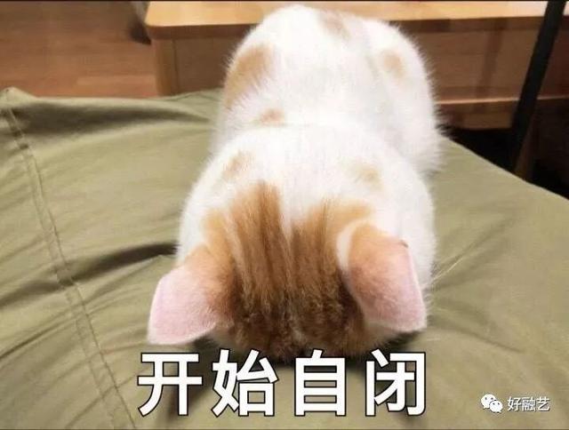 好融艺