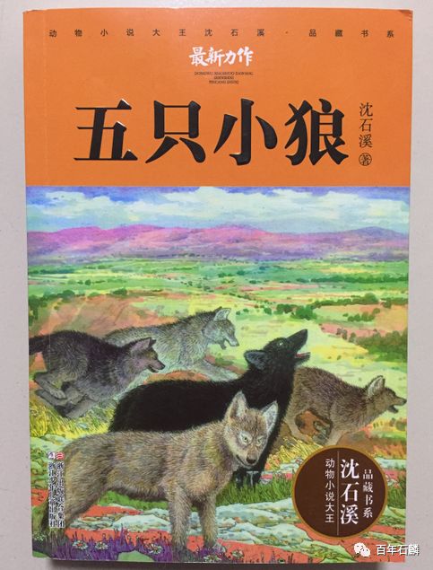 全阅读电台荐读第三十一期推广人石麟小学五年级六班孙逸琛