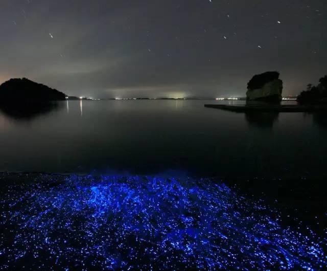 海萤岛【石川县】