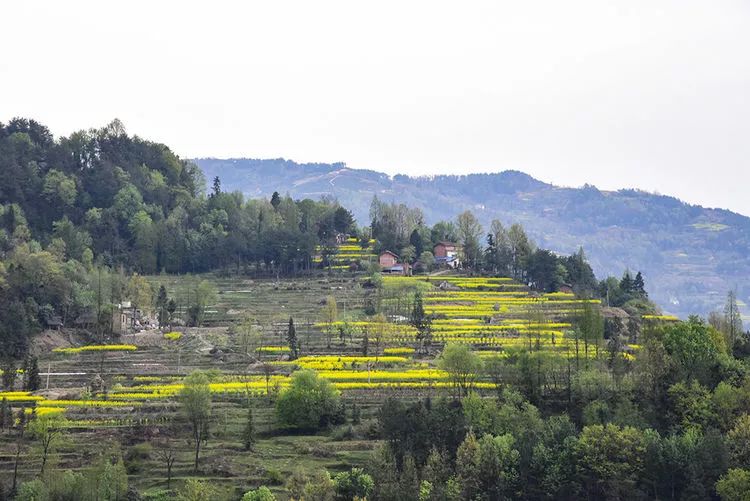 登大汉山俯瞰汉中盆地秀美风光