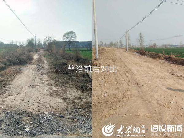 阳信县水落坡镇全域环境综合整治工作初见成效