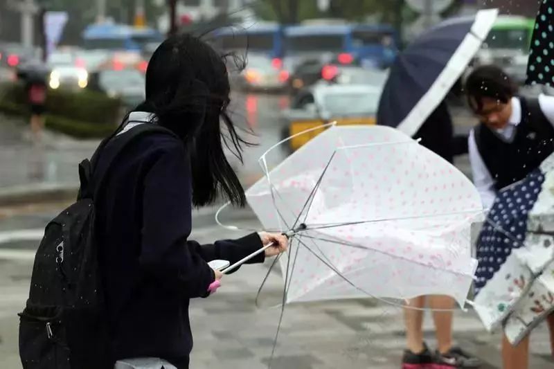 雨伞不是随便买把就完事,雨伞是用来遮风挡雨的!