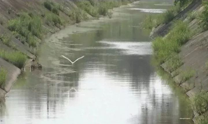 人口水臭_叫人口水直流 又臭又好吃的美食(2)