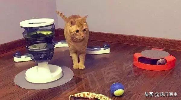 啥是小铃铛 01b7410faaaf410aa107ae45aae467b6.jpeg