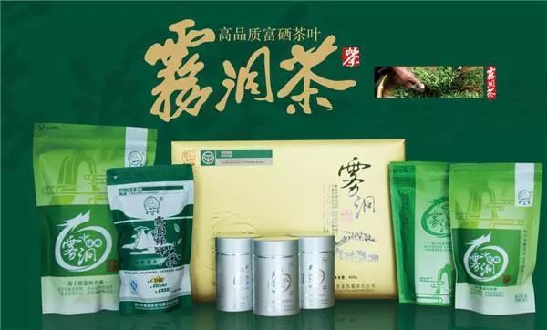 中国茶叶博物馆收藏湖北名茶雾洞绿茶