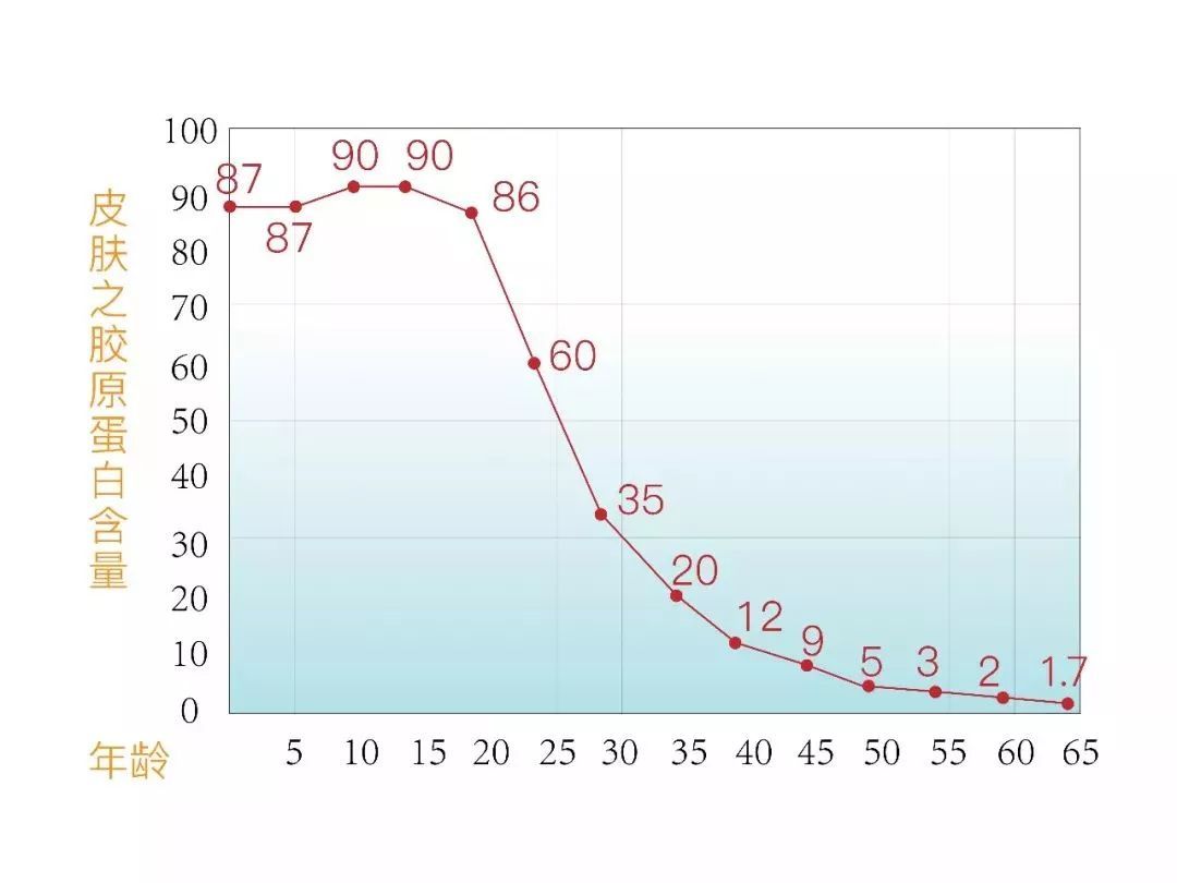 ▼胶原蛋白随年龄流失曲线图40岁时仅剩20岁的40(细纹密集增加,脸部