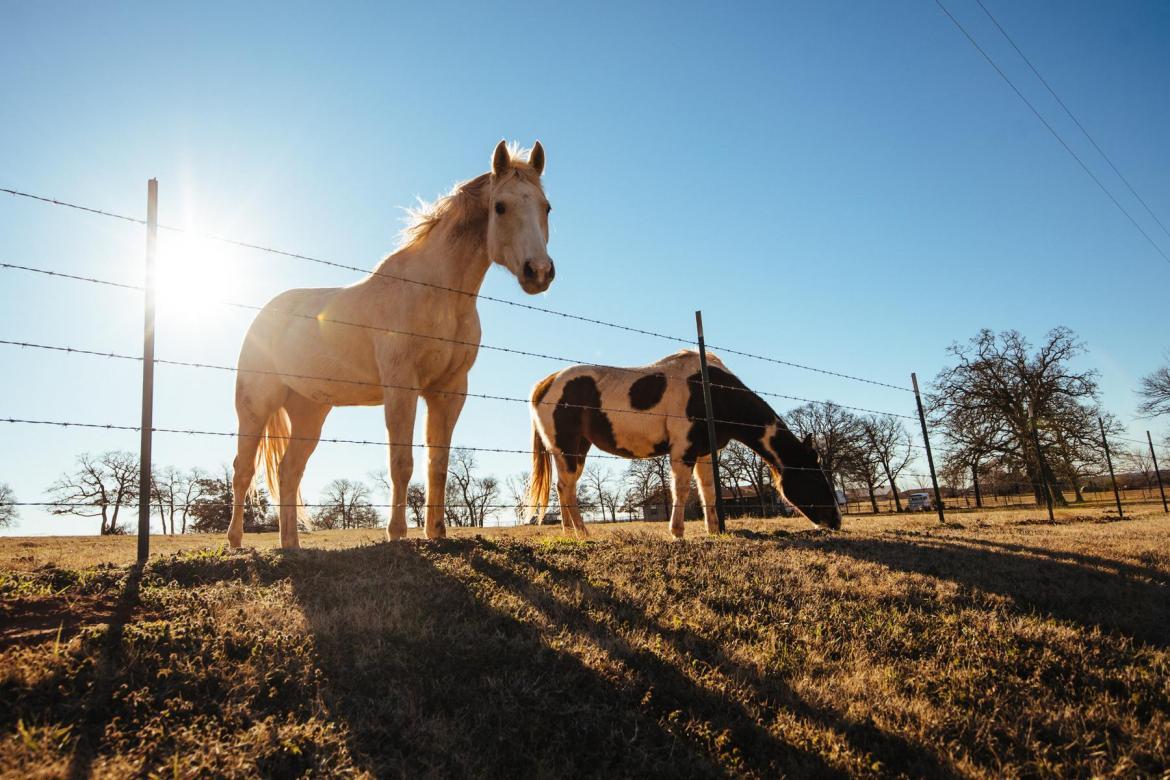 她一个单车旅行家，为什么要参加虐人的LR100