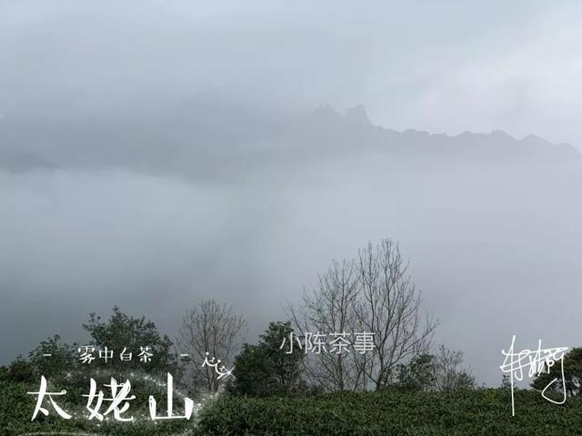 076cbad9b9a7489db3512c28e7cd190f.jpeg