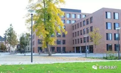 德国医院排名_德国二战狙击枪排名(2)