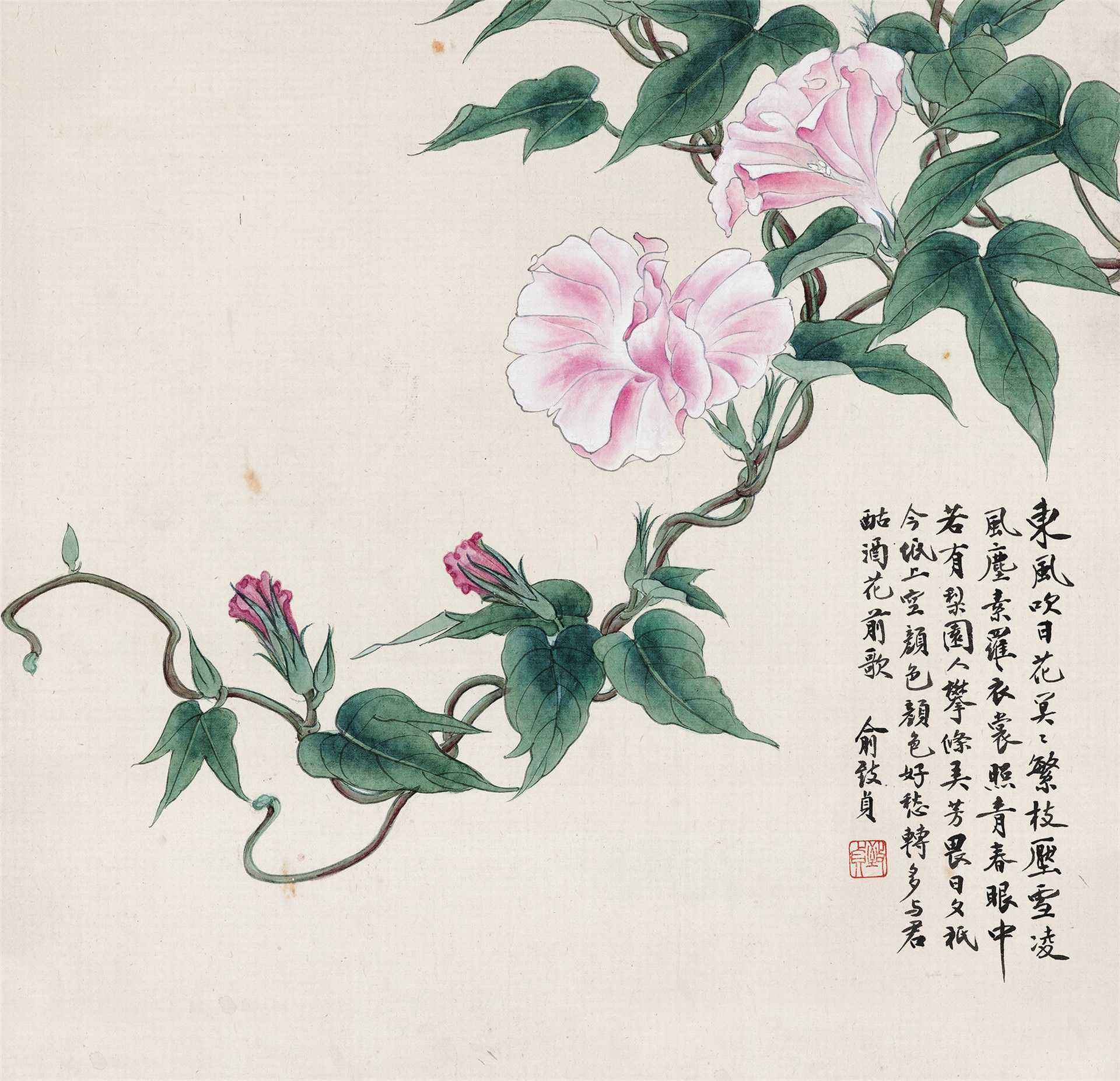 俞致贞—著名花鸟画家