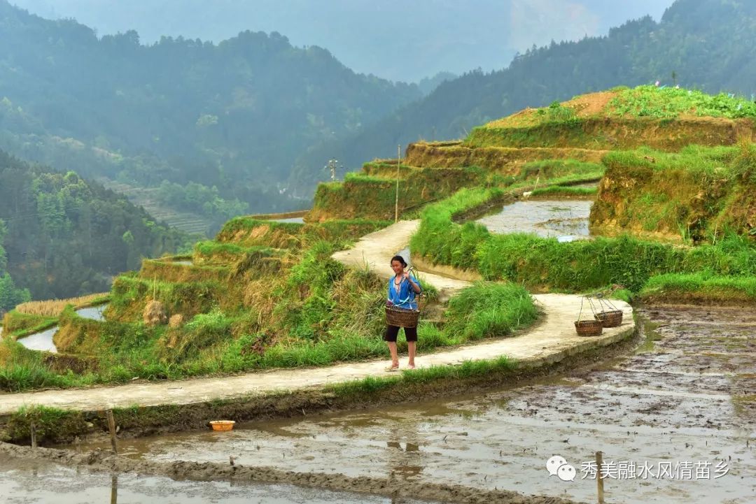 岑村人口_岑村科目二考场平面图