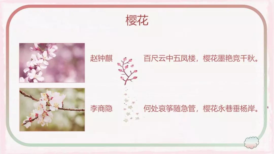 生如夏花曲谱_生如夏花泰戈尔图片(3)