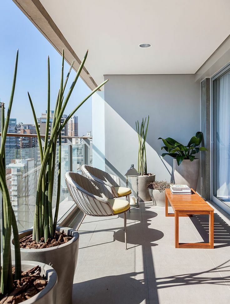 阳台种什么植物好用 1629310f1faf4b1b93c38061432e2993.jpeg