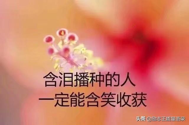 珍惜生命,好好活着.不要让金钱代替亲情;不要让外物奴役了心灵-时候