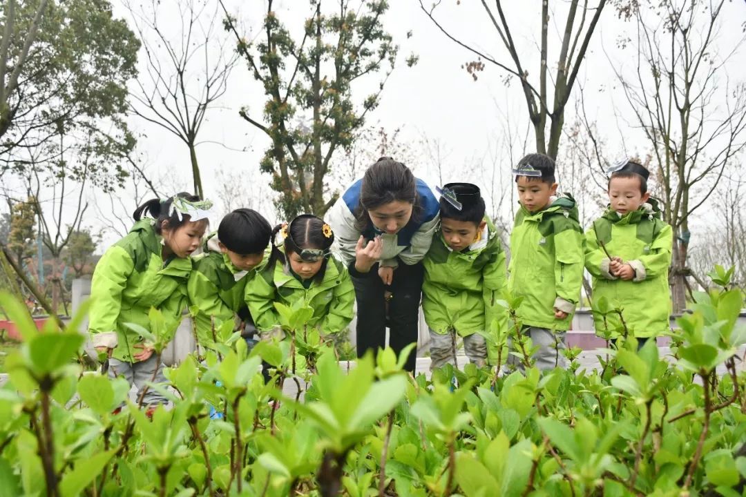 武汉溪谷森林幼儿园收费(武汉溪谷森林幼儿园在哪里)