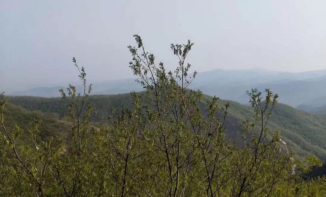 夏邑夏人口_夏邑城湖图片(2)