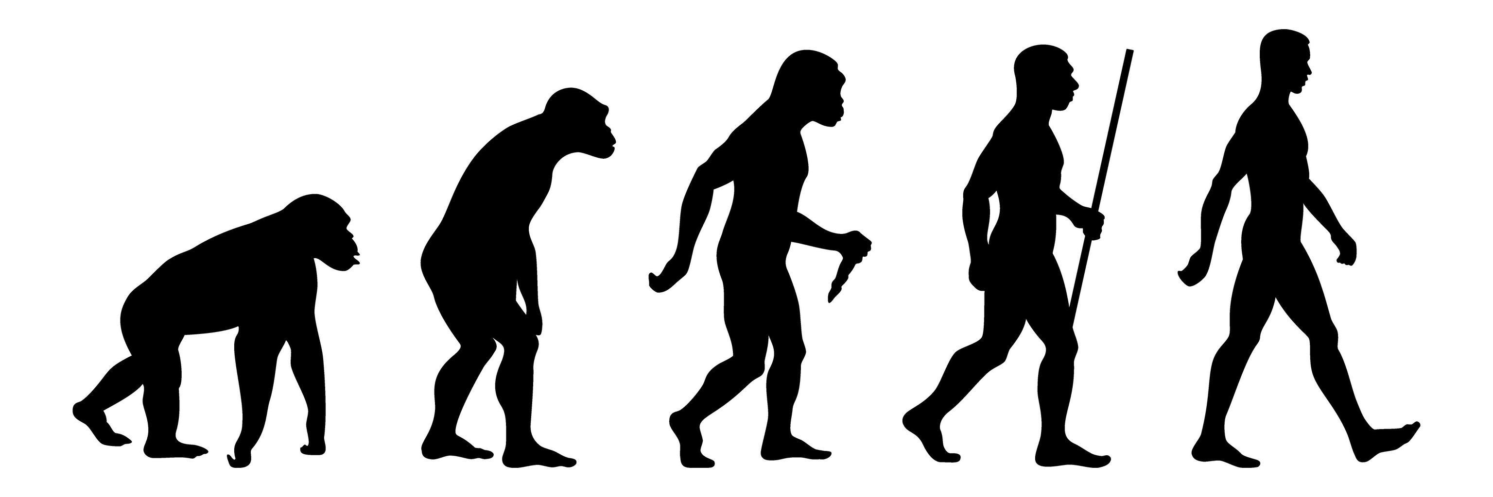 科学家复原200万年前古猿生存环境,气候变化让人类祖先迈出第一步