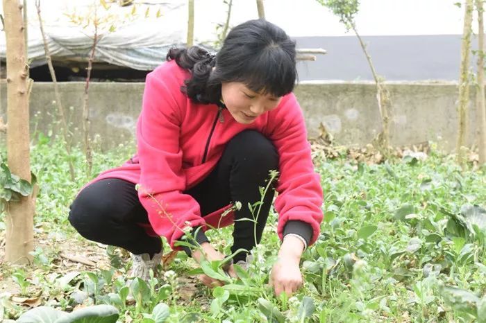 嘘寒问暖,喂水送药,一直服侍到他去世;同年,婆婆向丽萍不慎摔倒腿部