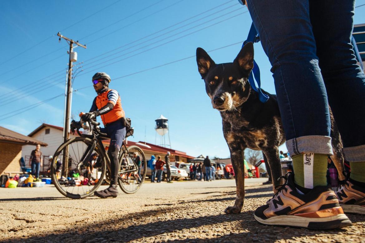 她一个单车旅行家，为什么要参加虐人的LR100