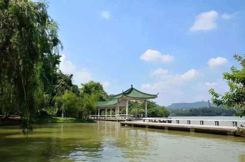 珠海经济总量2019_珠海金湾区经济规划图(3)