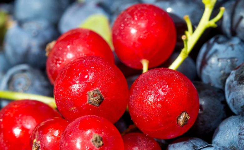 眼睛模糊吃什么药效果快 34cffa8ba1bb4ecbbd847237fdbdcd79.png