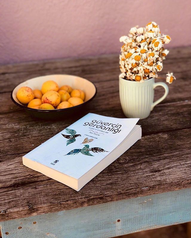 人生有三种好心态:放宽心、不纠缠、少计较!