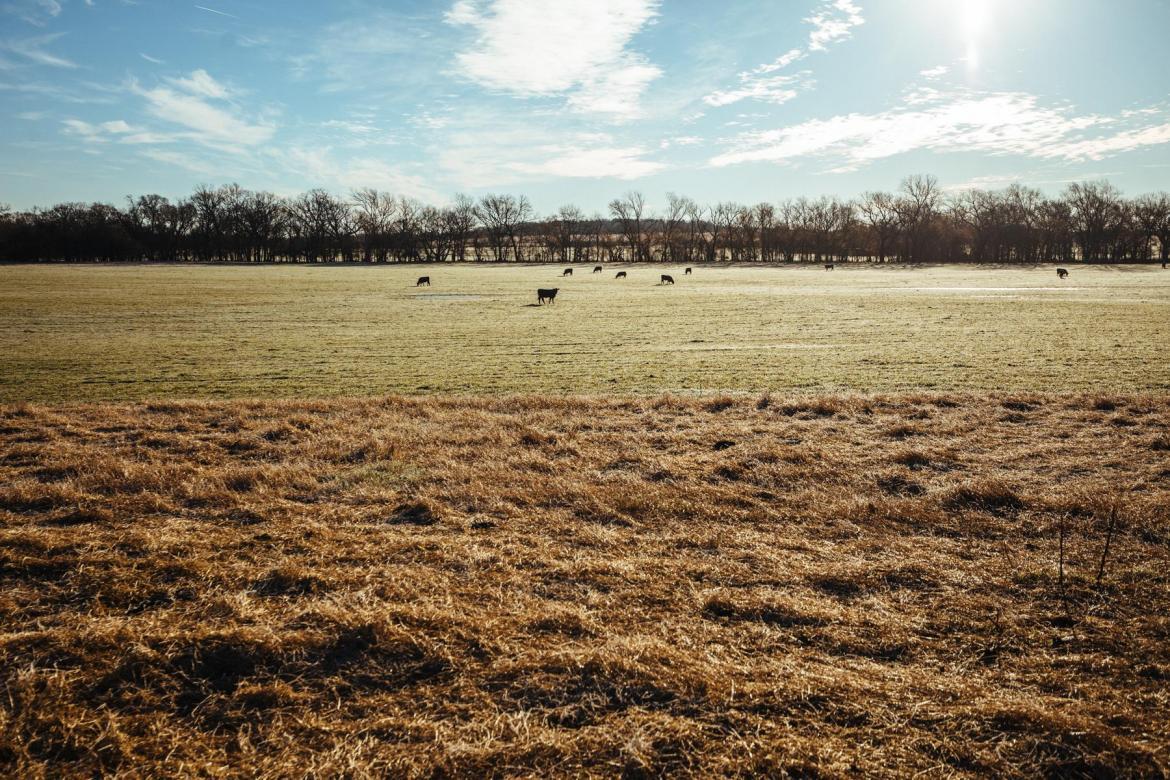 她一个单车旅行家，为什么要参加虐人的LR100