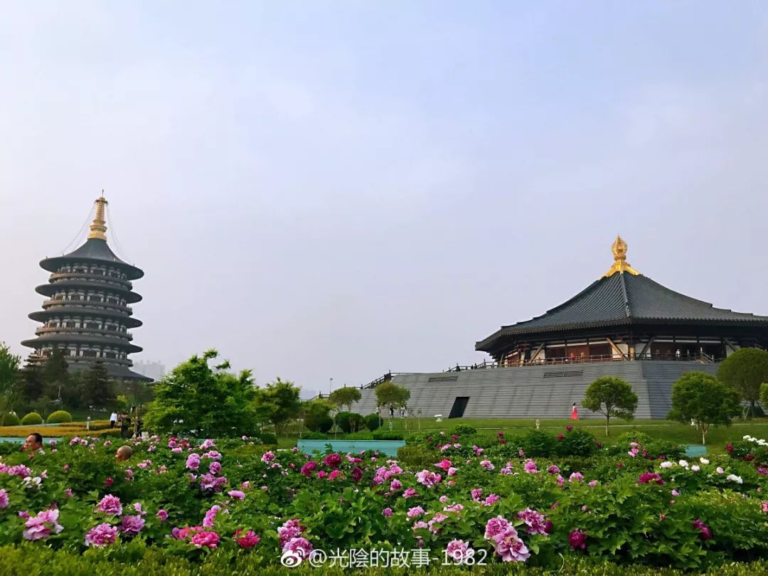 洛阳旅游美哭洛阳牡丹芳容初绽四月最不可错过的景色