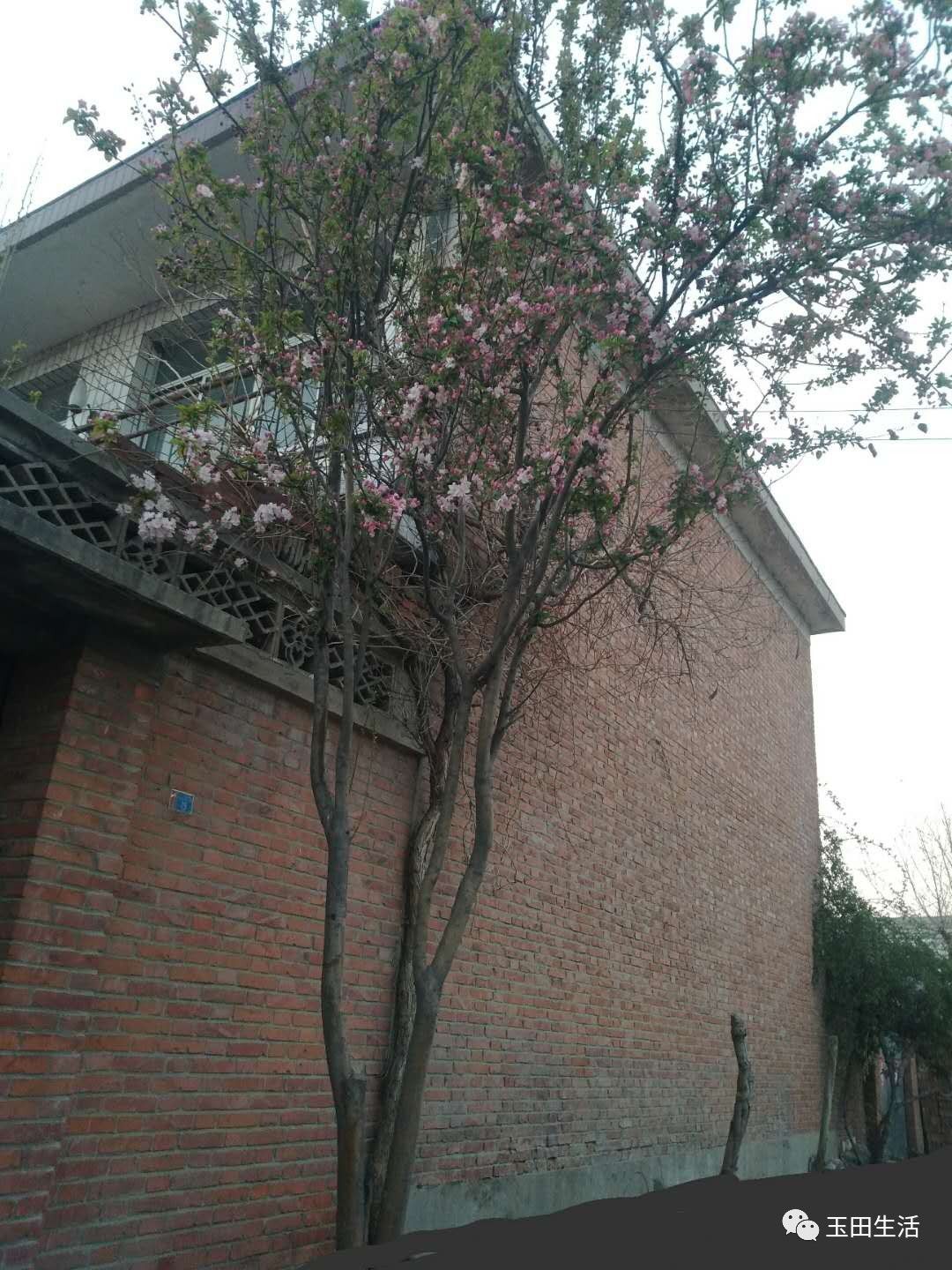 猜成语兵败_看图猜成语(3)