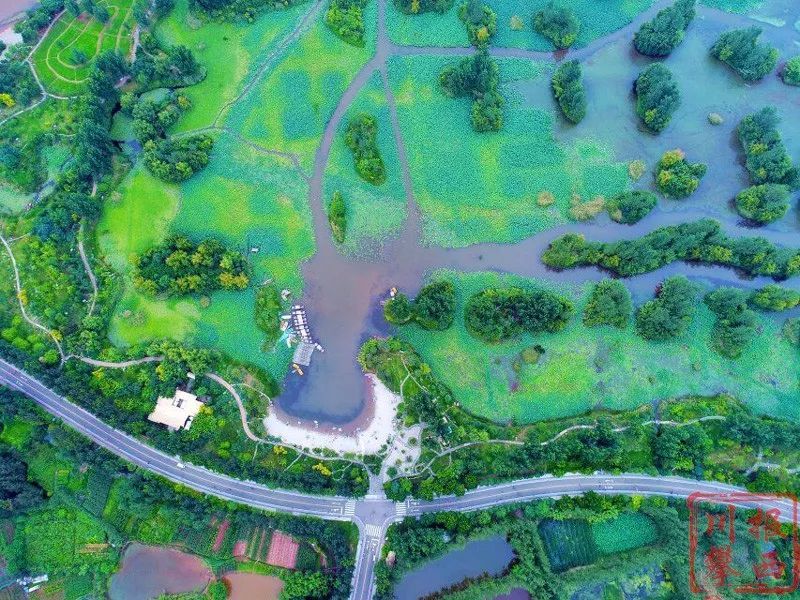 四川2020年第一季度g_四川大学(3)