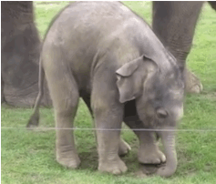 4b474d956dd74bdc90e80fe120572668.gif