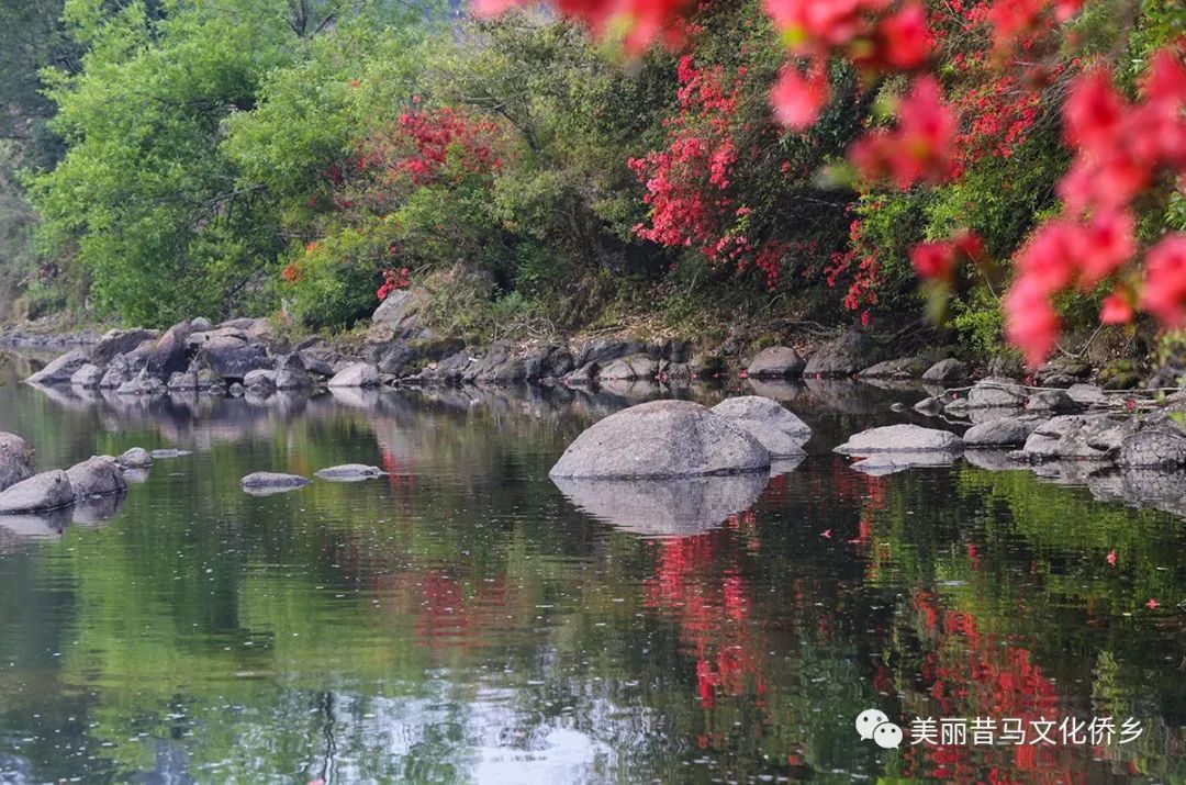 昔马镇第六届山歌节暨洋伞花文化旅游节开始啦!