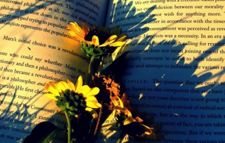 诗书朗读网 5091d2acbd1c44b789e078956c6d9f17.jpeg