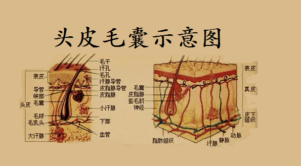516feccc56d749da9e566f6d5278ca17.png