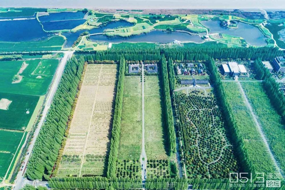 如皋长江镇gdp_霸气 如皋市长江镇上榜 排名(2)