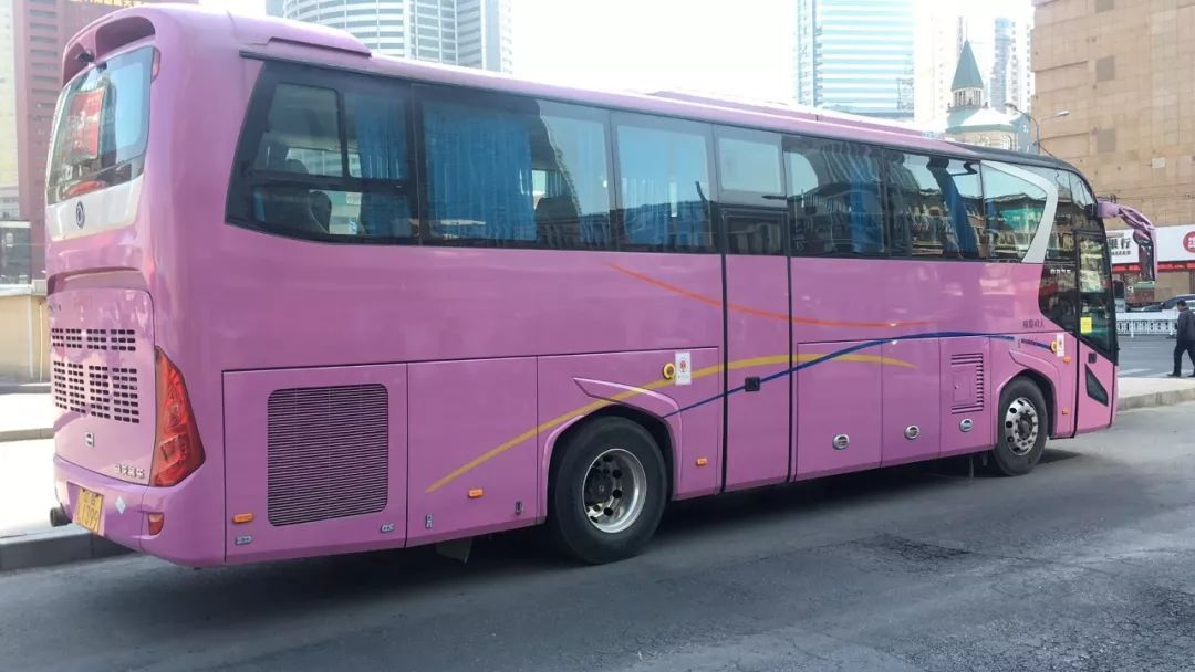 大连环城旅游巴士下周恢复运营! 今年有些不一