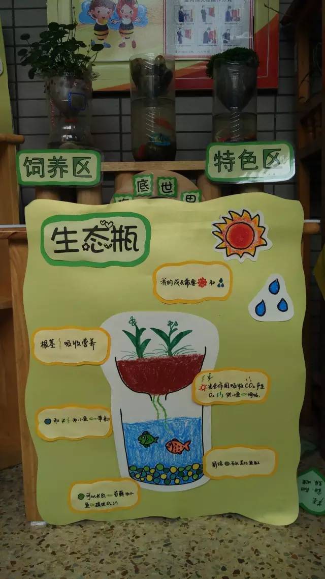 幼儿园创意植物角—带孩子种出个春天来!