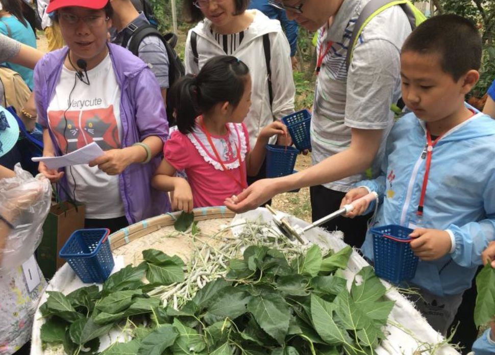 脍炙人口蚂蚁农场_脍炙人口图片