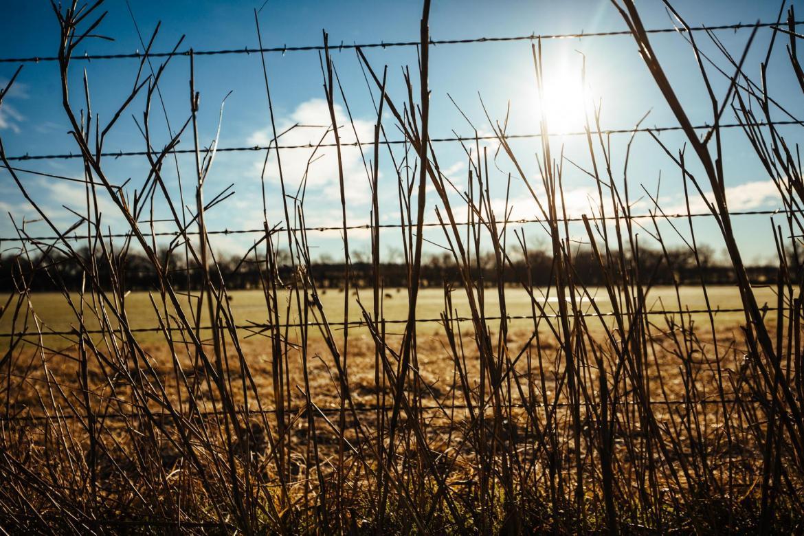 她一个单车旅行家，为什么要参加虐人的LR100