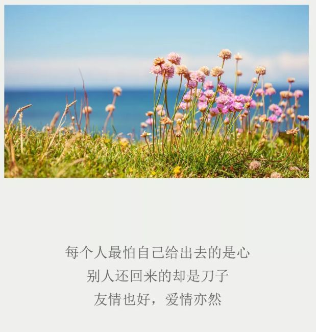 我都去接你 来者不拒,往者不追 凡事,尽力就好 想不开,就不想 得不到