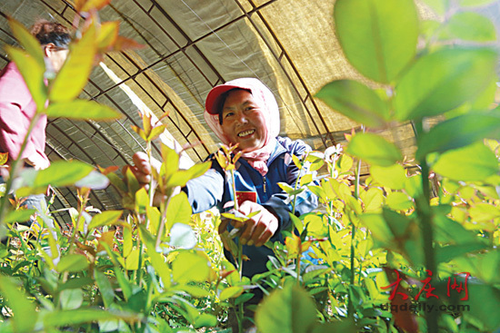 福兴乡人口_大庆市福兴乡