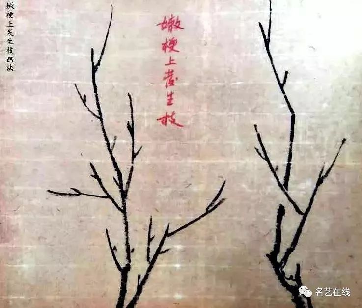 名家张大壮教画梅:祥解梅花及枝干的画法!